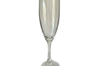 Everyday champagne Flute 20 pack